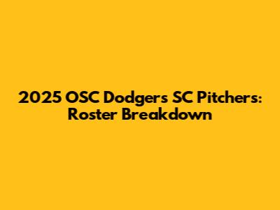 2025 OSC Dodgers SC Pitchers: Roster Breakdown
