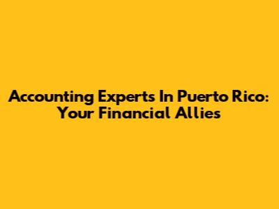 Accounting Experts In Puerto Rico: Your Financial Allies