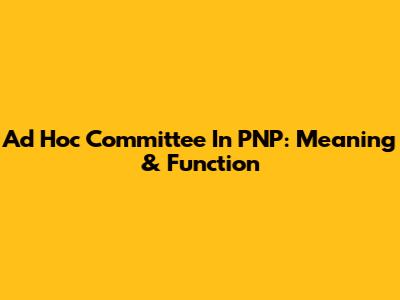 Ad Hoc Committee In PNP: Meaning & Function