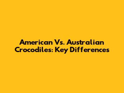 American Vs. Australian Crocodiles: Key Differences