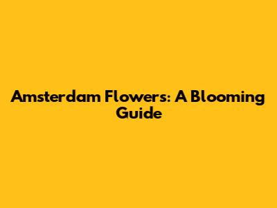 Amsterdam Flowers: A Blooming Guide