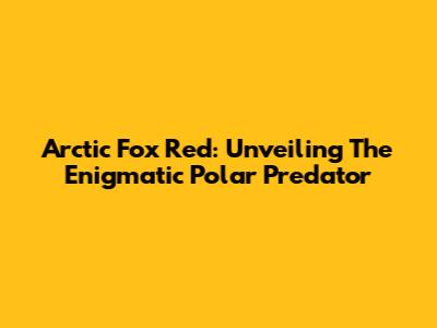 Arctic Fox Red: Unveiling The Enigmatic Polar Predator
