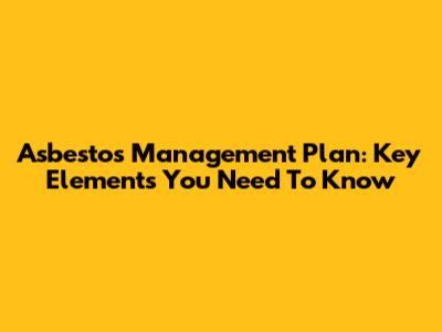 Asbestos Management Plan: Key Elements You Need To Know