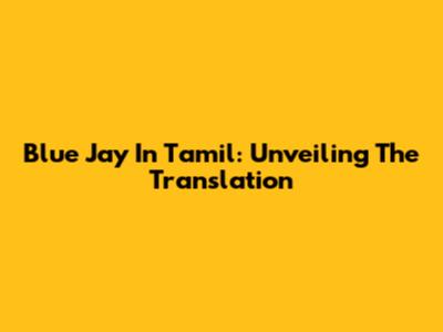 Blue Jay In Tamil: Unveiling The Translation