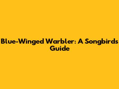 Blue-Winged Warbler: A Songbird's Guide
