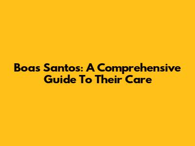Boas Santos: A Comprehensive Guide To Their Care