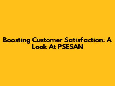 Boosting Customer Satisfaction: A Look At PSESAN