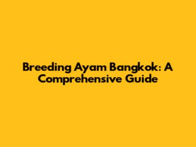 Breeding Ayam Bangkok: A Comprehensive Guide