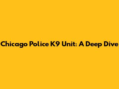 Chicago Police K9 Unit: A Deep Dive