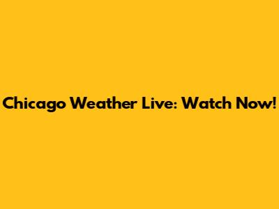 Chicago Weather Live: Watch Now!