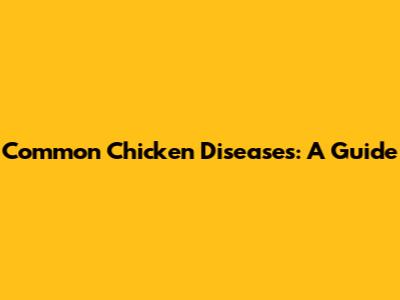 Common Chicken Diseases: A Guide