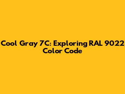 Cool Gray 7C: Exploring RAL 9022 Color Code