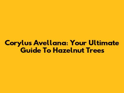 Corylus Avellana: Your Ultimate Guide To Hazelnut Trees