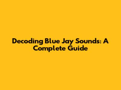 Decoding Blue Jay Sounds: A Complete Guide