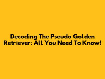 Decoding The Pseudo Golden Retriever: All You Need To Know!