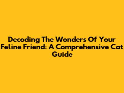 Decoding The Wonders Of Your Feline Friend: A Comprehensive Cat Guide