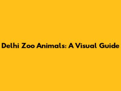 Delhi Zoo Animals: A Visual Guide