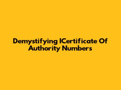 Demystifying ICertificate Of Authority Numbers