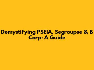 Demystifying PSEIA, Segroupse & B Corp: A Guide