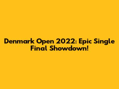 Denmark Open 2022: Epic Single Final Showdown!