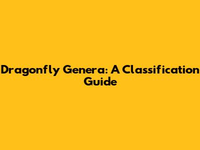 Dragonfly Genera: A Classification Guide