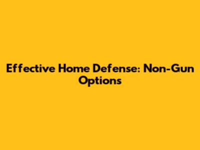 Effective Home Defense: Non-Gun Options