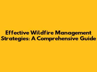 Effective Wildfire Management Strategies: A Comprehensive Guide