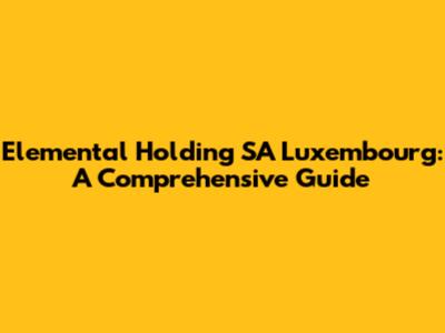 Elemental Holding SA Luxembourg: A Comprehensive Guide