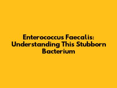 Enterococcus Faecalis: Understanding This Stubborn Bacterium