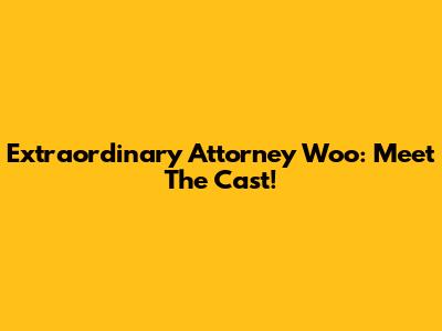 Extraordinary Attorney Woo: Meet The Cast!