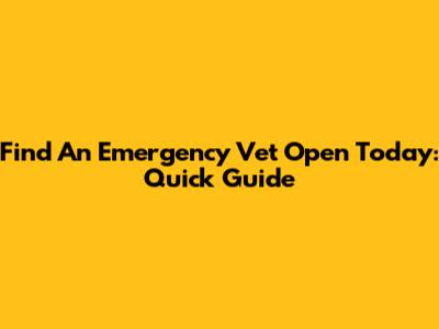Find An Emergency Vet Open Today: Quick Guide