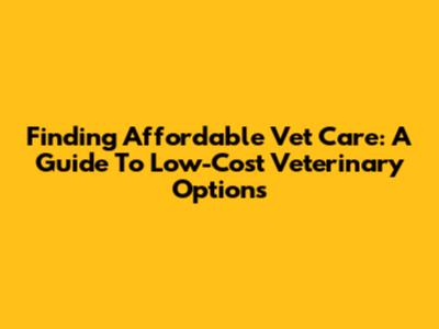 Finding Affordable Vet Care: A Guide To Low-Cost Veterinary Options
