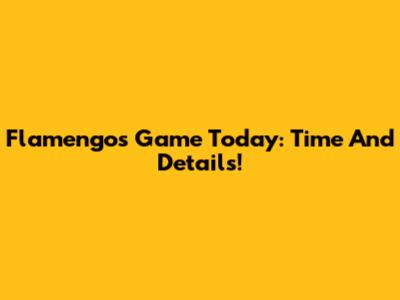 Flamengo's Game Today: Time And Details!