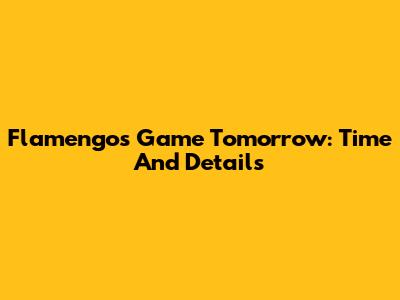 Flamengo's Game Tomorrow: Time And Details