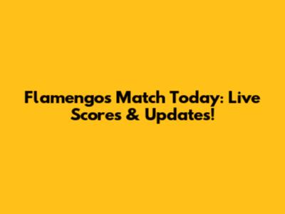 Flamengo's Match Today: Live Scores & Updates!