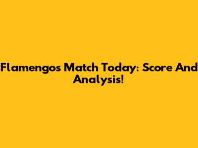 Flamengo's Match Today: Score And Analysis!