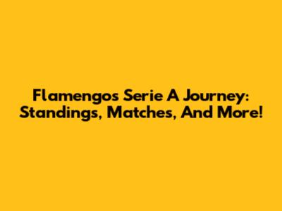 Flamengo's Serie A Journey: Standings, Matches, And More!