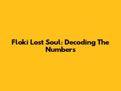 Floki Lost Soul: Decoding The Numbers