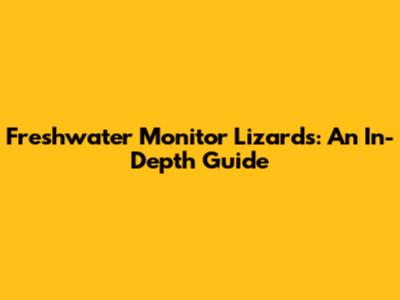 Freshwater Monitor Lizards: An In-Depth Guide