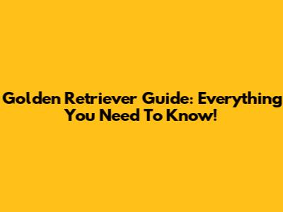 Golden Retriever Guide: Everything You Need To Know!