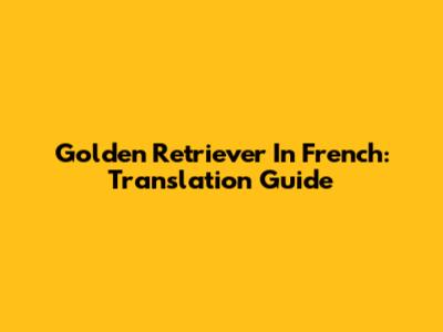 Golden Retriever In French: Translation Guide