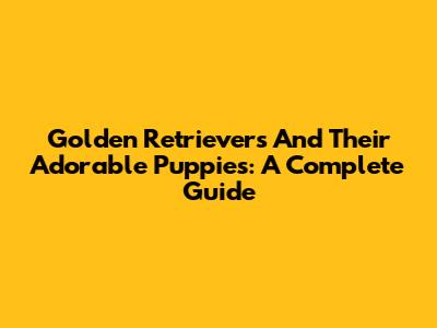 Golden Retrievers And Their Adorable Puppies: A Complete Guide
