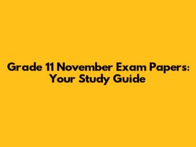 Grade 11 November Exam Papers: Your Study Guide