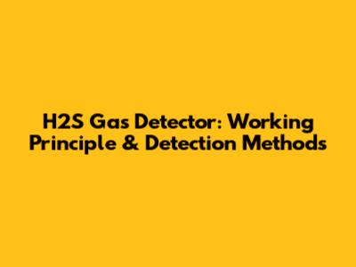 H2S Gas Detector: Working Principle & Detection Methods