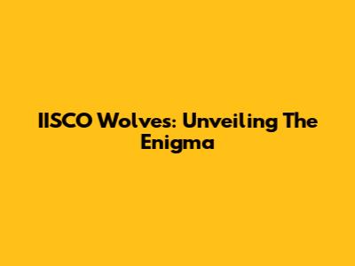 IISCO Wolves: Unveiling The Enigma