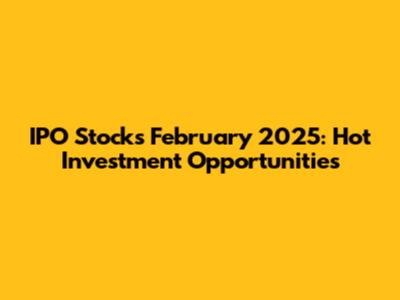 IPO Stocks February 2025: Hot Investment Opportunities