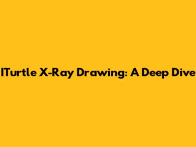 ITurtle X-Ray Drawing: A Deep Dive