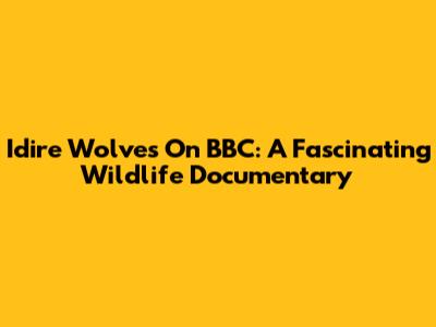 Idire Wolves On BBC: A Fascinating Wildlife Documentary