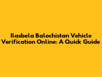 Ilasbela Balochistan Vehicle Verification Online: A Quick Guide