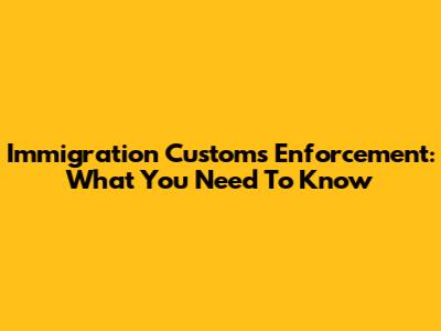 Immigration Customs Enforcement: What You Need To Know